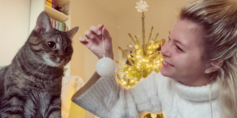 Katze Lexi liebt alles, was glitzert. Auf diesem Foto tut sie recht desinteressiert – aber wenn man sie mit dem Weihnachtsbaum alleine lässt, hört man die Kugeln gegeneinander klimpern.