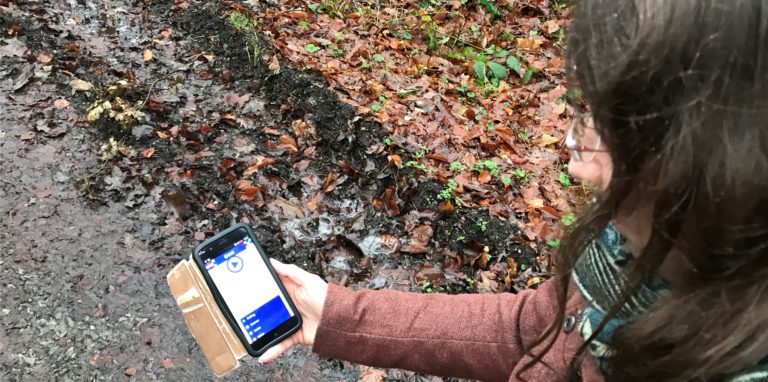 Mit einer App kann man einen interaktiven Wald-Spaziergang in Cappenberg machen.
