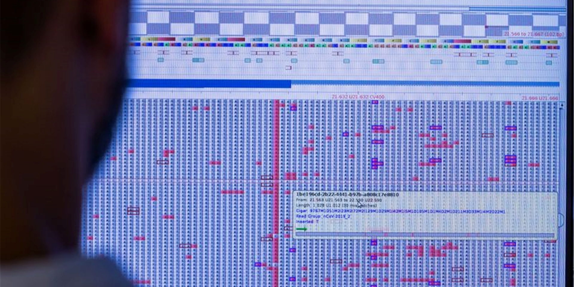 An einem Computermonitor werden in einem Sequenzierlabor nach neuen Varianten und Mutationen des Coronavirus gesucht.