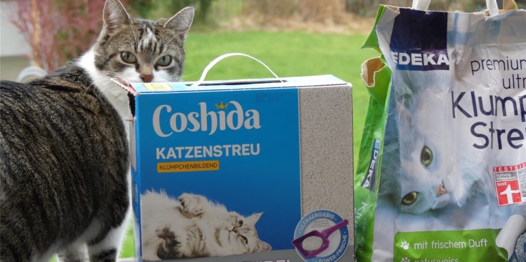 Lidl, Aldi, dm, Fressnapf oder Edeka? Katzen sind bei der Katzenstreu durchaus wählerisch. Und wegen der Pandemie gibt es zurzeit nicht alle Sorten. Trotzdem sollte man der Fairness halber auf Hamsterkäufe verzichten.