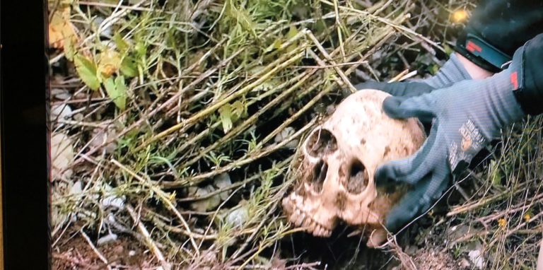 Die TV-Sendung Aktenzeichen xy… ungelöst befasste sich am 12. Januar 2022 mit dem Mordfall Klaus Walter Pauli. Pauli wohnte in Menden an der Fröndenberger Straße. 2016 fand man bei Bauarbeiten hinter dem Hauptbahnhof in Hagen zunächst den Schädel des Opfers (nachgestellte Szene).
