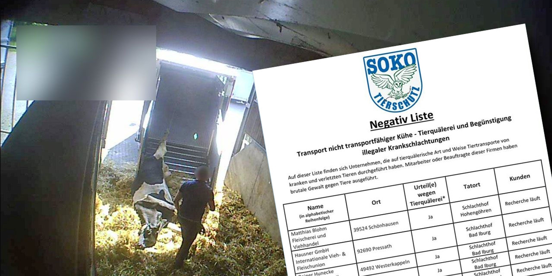 Die Soko Tierschutz hat eine Liste mit Namen von Firmen veröffentlicht, die brutale Gewalt gegen Tiere und Totschlachtungen begünstigt. Auch ein Hauptlieferant der Metzgerei Mecke aus Werne steht auf der Negativ-Liste.