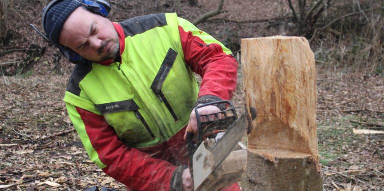 Das wird eine Eule. Freihändig formt Kai Mathias mit einer Kettensäge aus einem Holzstumpf eine Skulptur. Das macht ziemlich viel Krach.