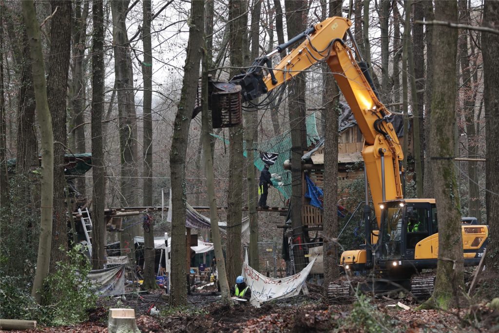 Schweres Gerät kommt bei einer Räumung eines Waldstücks zum Einsatz.