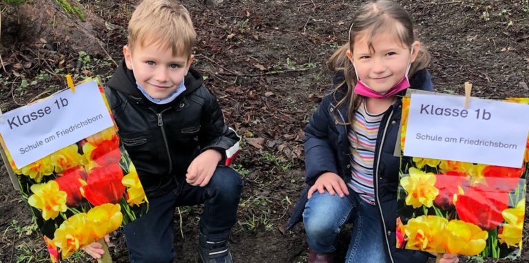 Nach der Pflanzaktion der Schule am Friedrichsborn müssen die 300 gesetzten Blumenzwiebeln erst einmal in der Erde ruhen. Bis zum Austrieb kündigen Schilder an, welche Blütenpracht der Königsborner Kurpark an dieser Stelle bald zeigen wird.