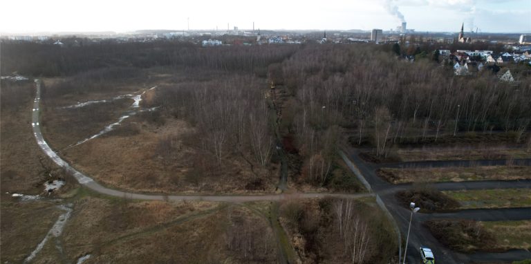 Die Rodungsarbeiten für die Baustraße auf der Victoria-Brache sind so gut wie erledigt.