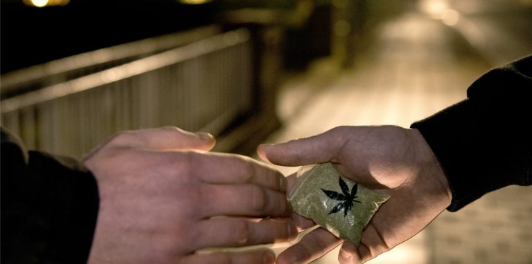 Acht mutmaßliche Drogendealer stehen vor Gericht. Sie sollen über eine Tonne Marihuana geschmuggelt haben.