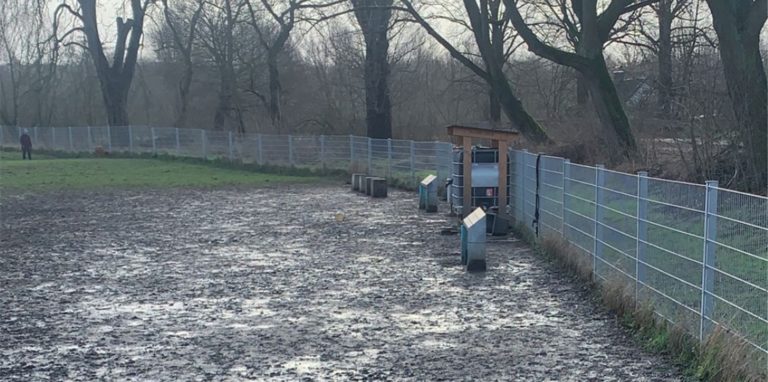 Aktuell ist die Hundewiese nicht zugänglich.