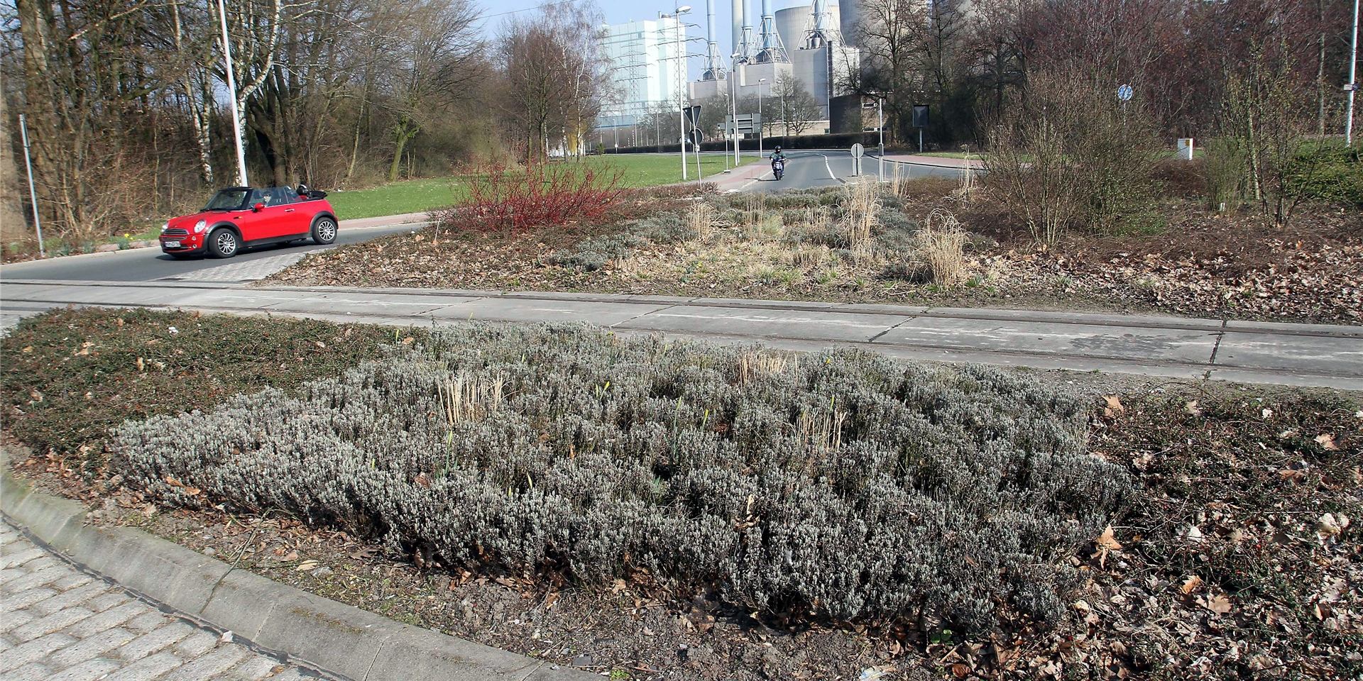 Wegen des Trafotransports über das Schienennetz muss der Kreisverkehr am Gersteinwerk in Werne-Stockum am Montag gesperrt werden.
