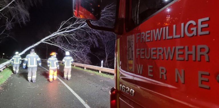 Parallele Einsätze mit umgestürzten Bäumen an der Südkirchener Straße wurden durch die Drehleiter und den Rüstwagen beseitigt.