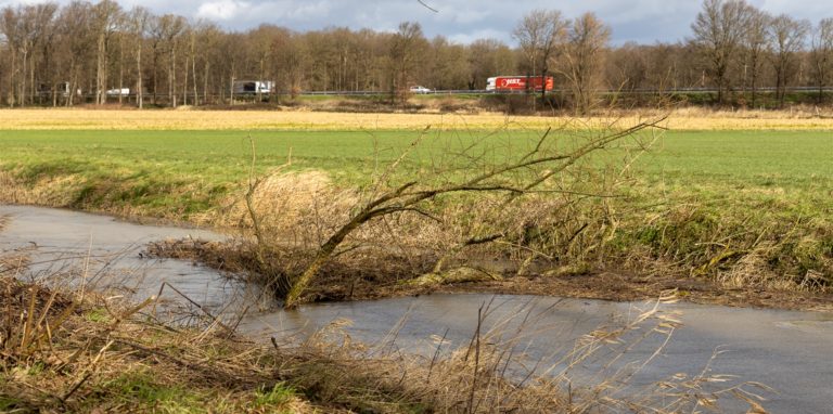 In Davensberg war der Emmerbach stark angeschwollen, das Unwetter überflutete die Auenlandschaft.