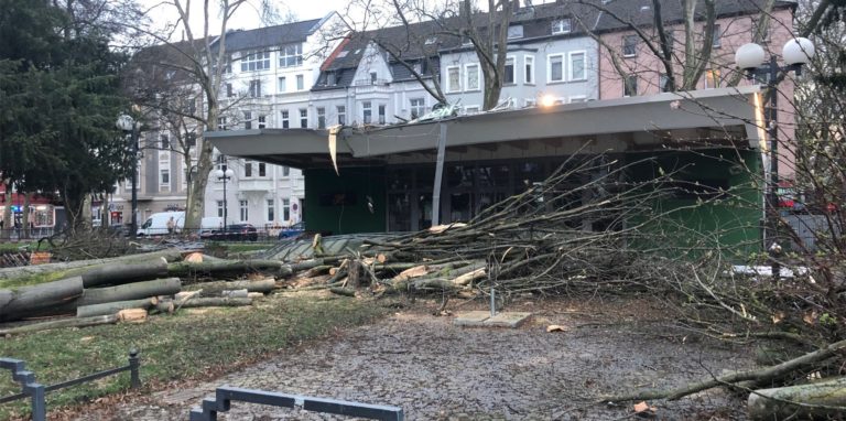 Gegen 15.45 Uhr war ein 15 Meter großer Baum aufgrund des Sturms auf den Grünen Salon gestürzt. Das Dach der Gaststätte wurde dabei sehr in Mitleidenschaft gezogen.