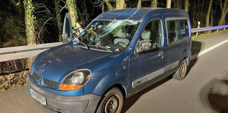Ein Feuerwehrmann hilft dem Fahrer aus seinem Wagen. Ein herabstürzender Baum hatte das Fahrzeug beschädigt. Der Fahrer wurde verletzt.