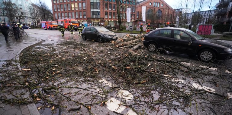 Die Feuerwehr in NRW rückte alleine bis Samstagmittag zu über 12.000 Einsätzen aus.