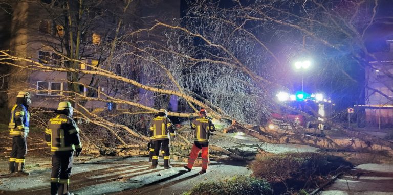 Die Feuerwehr Werne musste in der Nacht zu Montag wegen abgebrochener Äste ausrücken.