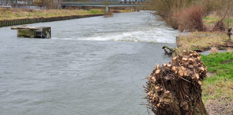 Die Ruhr überschritt am Montag (21. Februar) zeitweilig einen Grenzwert.