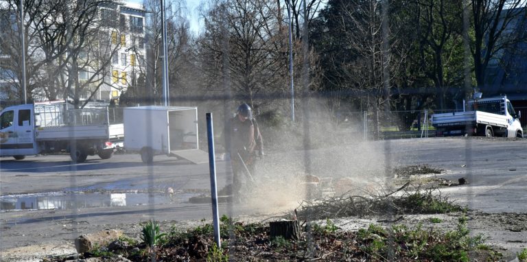 Auf der ehemaligen Mercedes-Fläche in der Lüner City sind Bäume gefällt worden.
