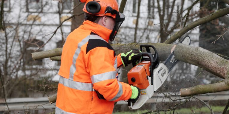 Im Freien drohen im Sturm Gefahren, etwa durch abstürzende Äste, warnt der Deutsche Wetterdienst.