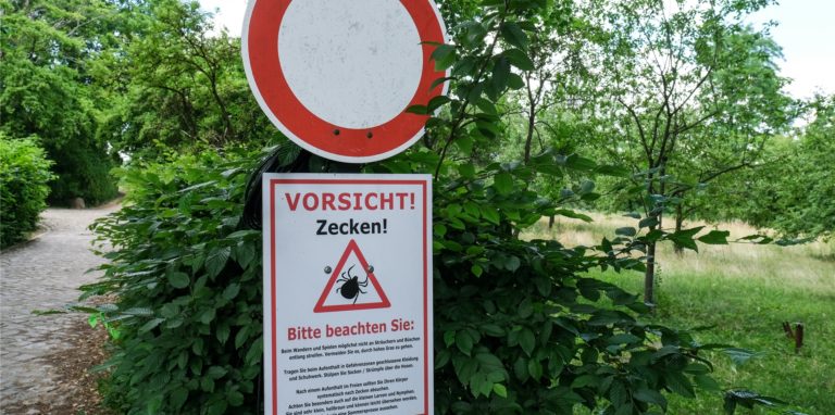 Bundesweit gelten aktuell 175 Kreise und kreisfreie Städte als FSME-Risikogebiete – nun auch eine Region in NRW.