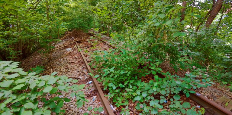 Eine verborgene Bahnstrecke führt auf einer zugewachsenen Trasse mitten durch die Stadt Kamen, vorbei an Häusern und Wegen. Hier sind früher Züge des insolvent gegangenen Kettcar-Herstellers  Kettler gefahren.