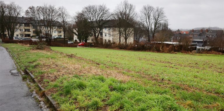 Am westlichen Ende der Lüner Höhe sind noch 1,9 Hektar frei, die jetzt bebaut werden sollen. Die Wohnungsbaugesellschaft Vonovia plant dort etwa 50 Wohneinheiten.