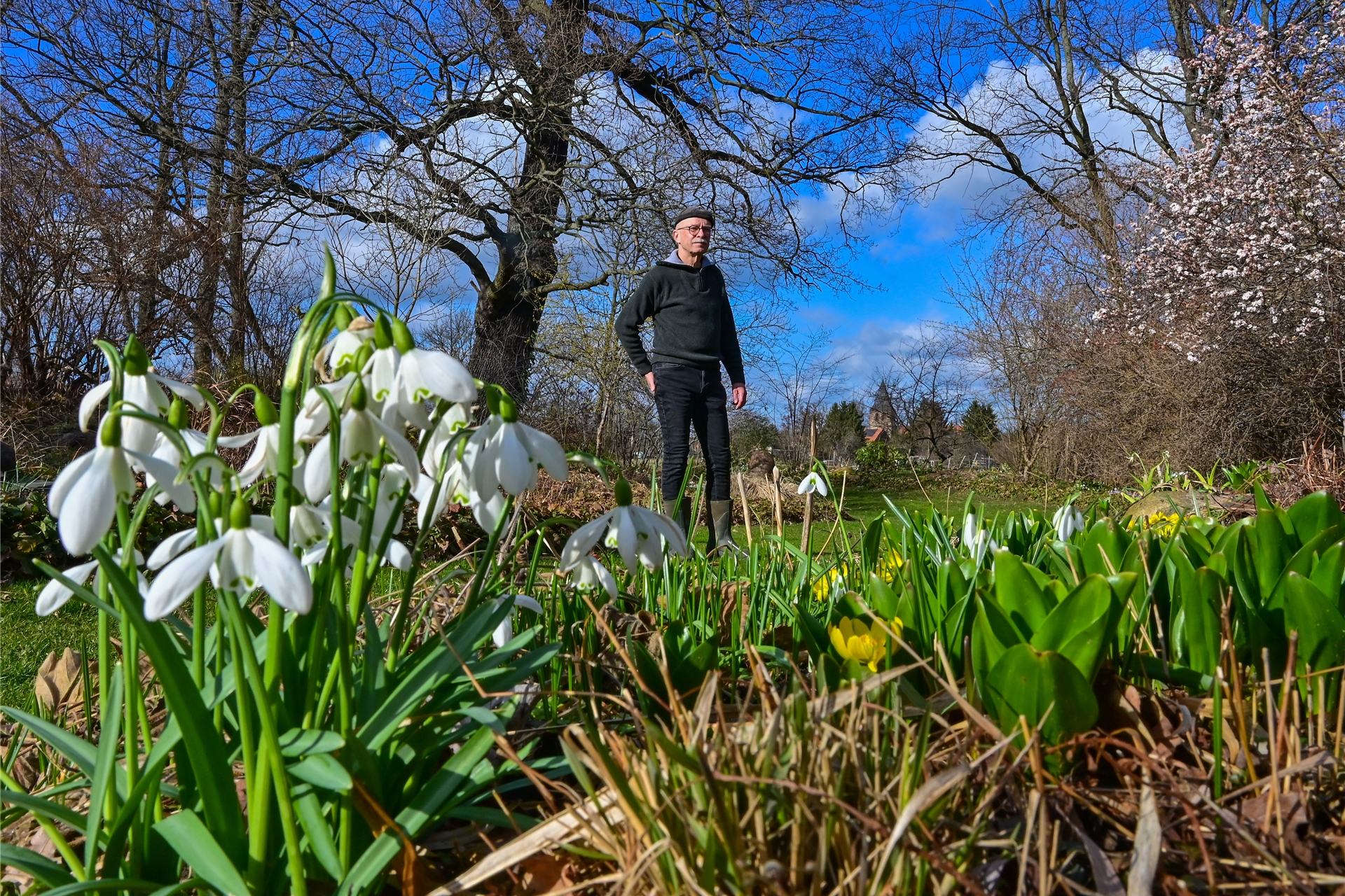 Wie lassen sich Pflanzen im Garten am besten vor dem Frost schützen?