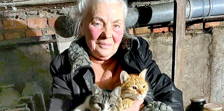 Bei jedem Alarm muss Oma Valentina aus der ukrainischen Stadt Pryluky mit ihren Katzen in den Keller flüchten.
