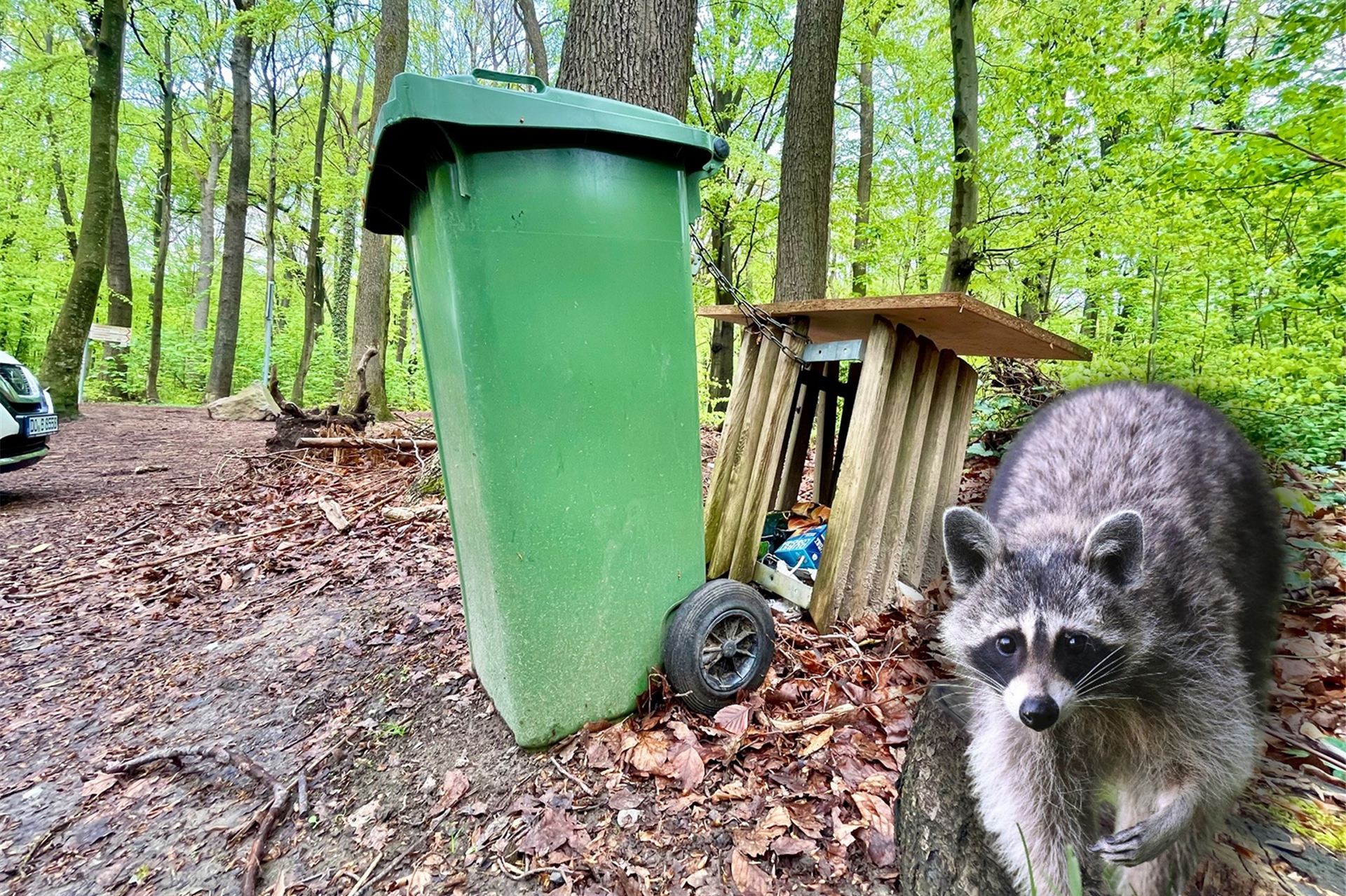Angekettet auf dem Waldparkplatz an der Bergstraße: Spaziergänger rätseln über die Herkunft und den Grund für die grüne Tonne.