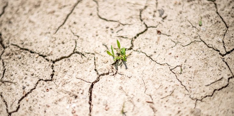 Extremwetterereignisse wie Dürren und heftige Unwetter sind typische Klimafolgen in Mitteleuropa und werden in Zukunft auch in Dortmund häufiger werden.