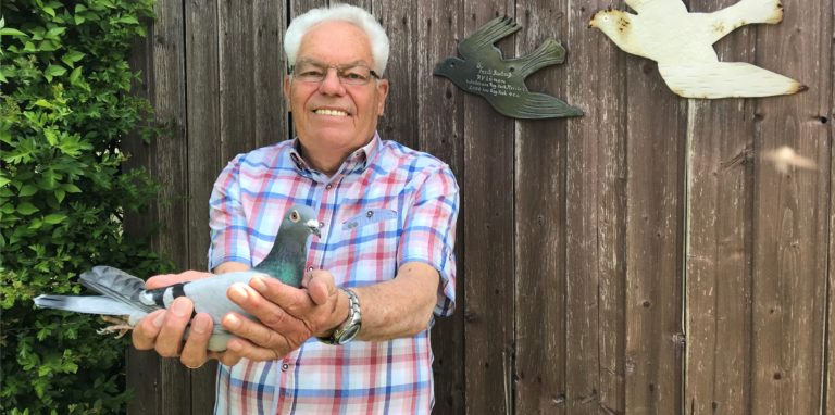 Fredi Bartsch (75) ist einer der wenigen verbliebenen Taubenzüchter in Lünen.