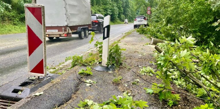 Die Feuerwehr hatte den umgestürzten Baum schnell zerlegt, sodass die Straße wieder freigegeben werden konnte.