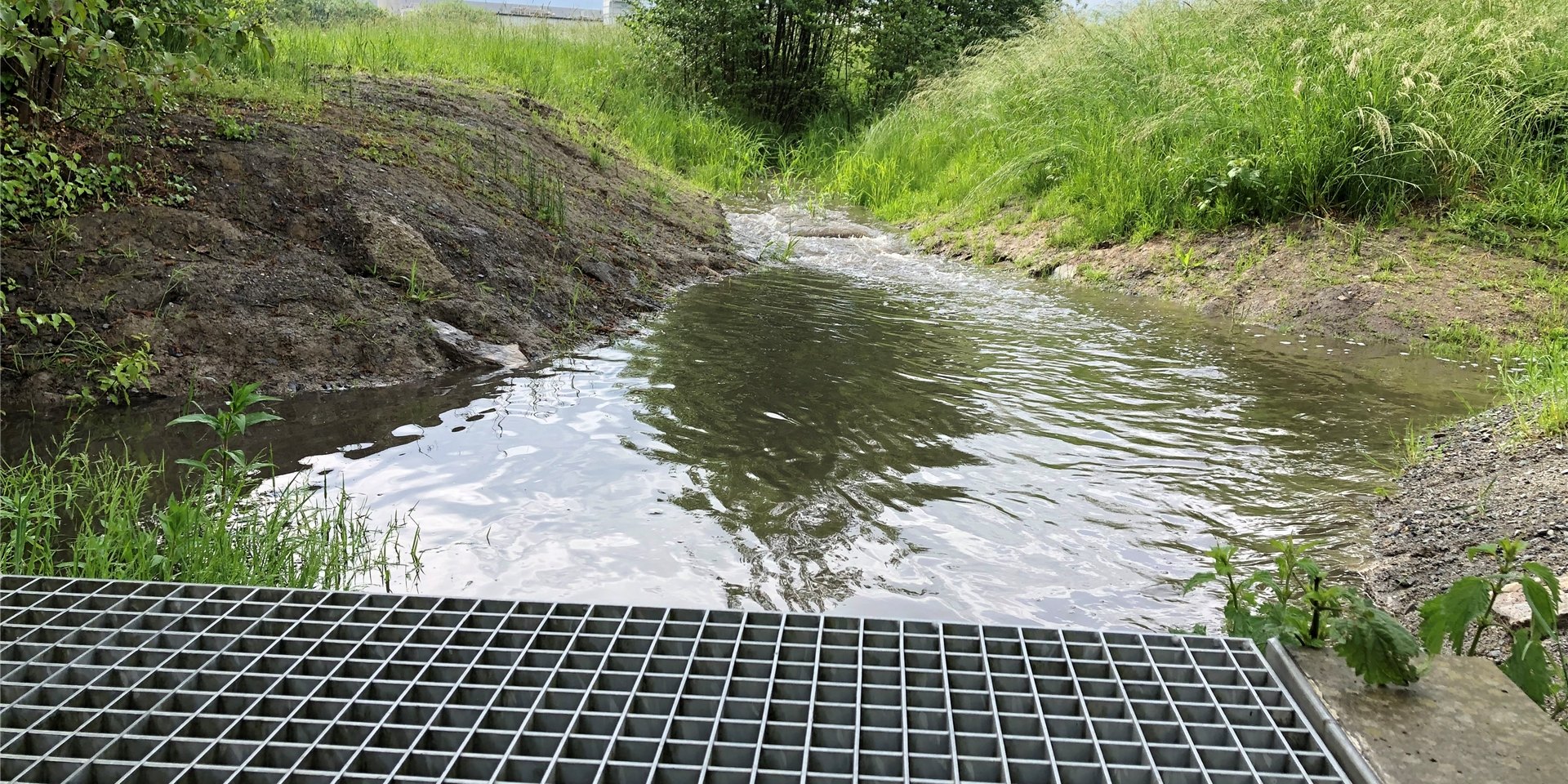 Der Natorper Bach in Holzwickede führte nach dem Regen am Freitagnachmittag deutlich mehr Wasser als in den trockenen vergangenen Wochen.