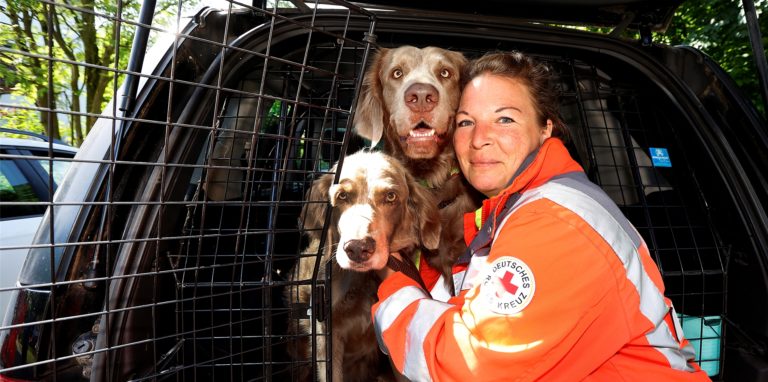 Lena Henschel mit ihren beiden Langhaar-Weimaranern Le Fou und Cousteau.