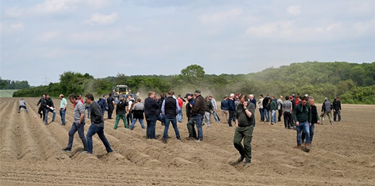 Auf einem Kartoffelacker des Hofes Schulze Altcappenberg hat der Striegeltag stattgefunden.