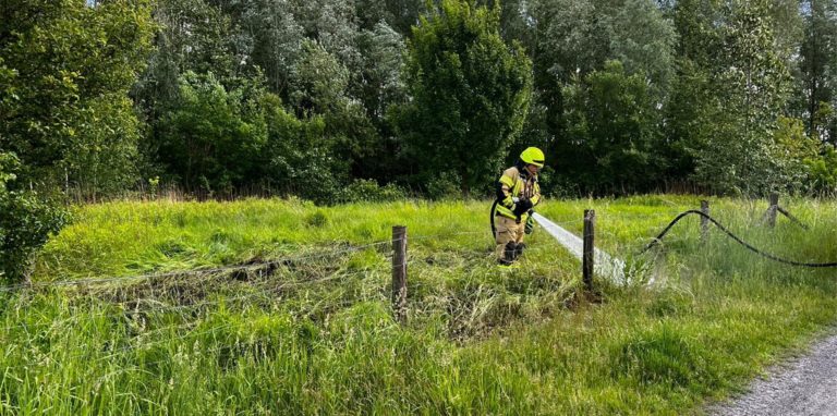 Die Feuerwehr löschte am Freitagnachmittag ein brennendes Feld am Jägerweg in Wasserkurl.