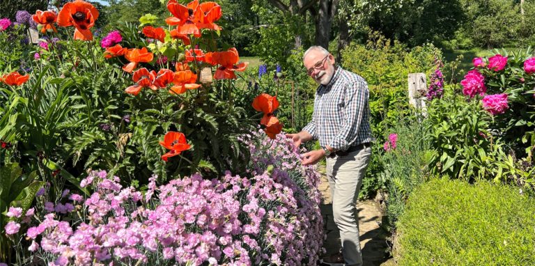 Der Garten von Bernhard Küster beinhaltet eine atemberaubende Vielfalt an Pflanzen und Farben.