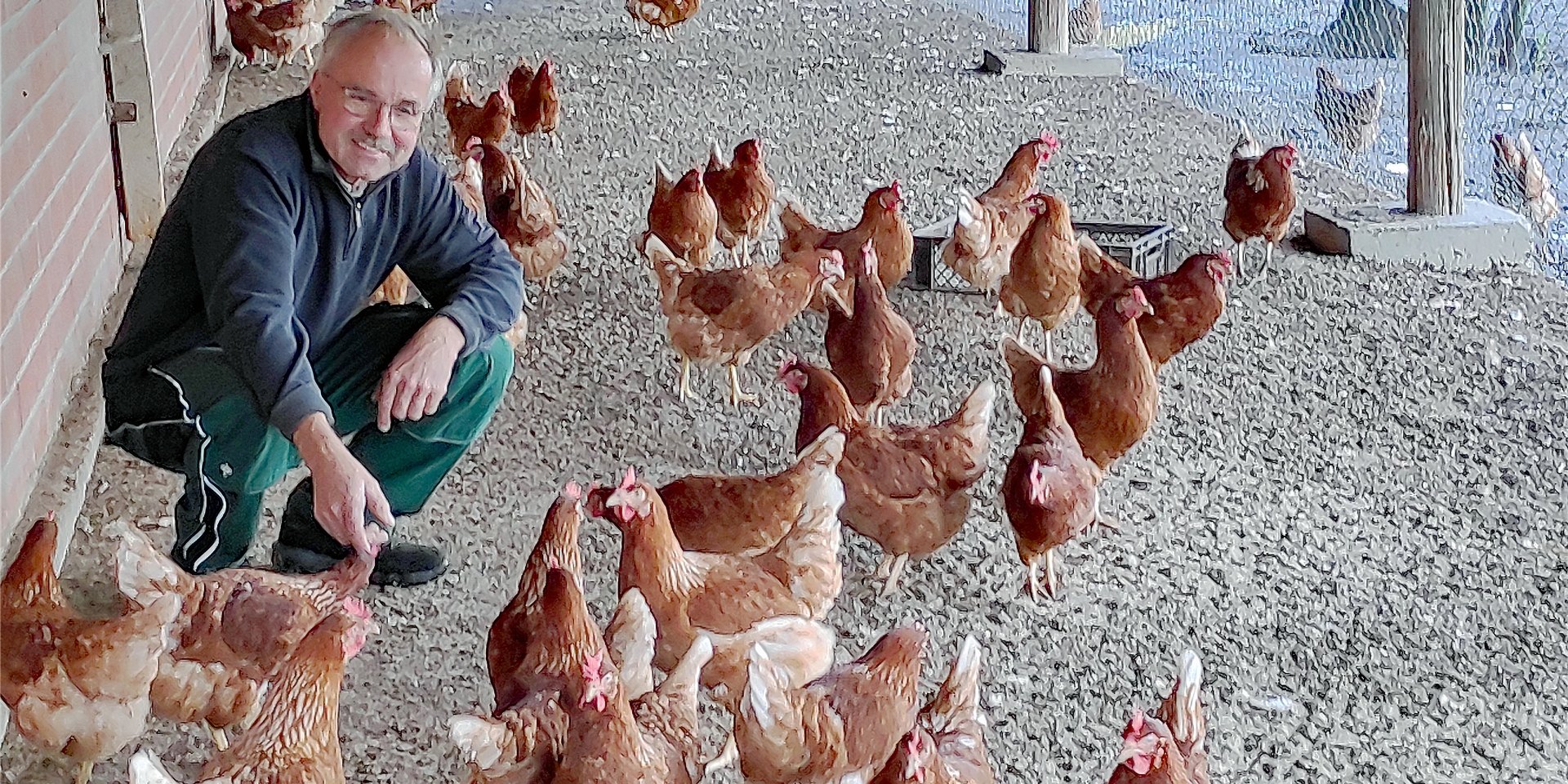 Wilhelm Eckei aus Fröndenberg gilt als Pionier der Landwirtschaft und erhielt bereits vor über 30 Jahren das Neuland-Hof-Siegel.