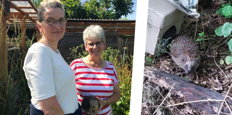 Maria Fahlbusch und Marion Rautert kümmern sich mit Leidenschaft um Igel. Sie wissen genau, worauf es beim Schutz der kleinen Säugetiere ankommt.
