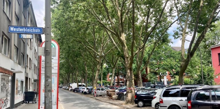 An der Kreuzung Westerbleichstraße und Kurfürstenstraße wurde ein 48-jähriger Dortmunder ausgeraubt.