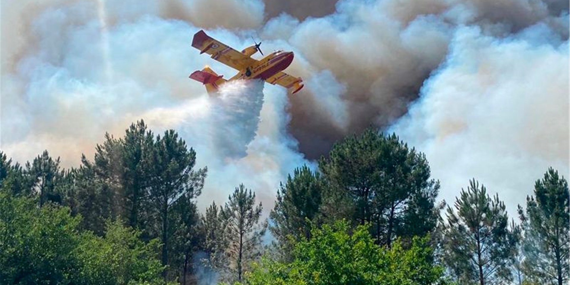 Ein Canadair-Löschflugzeug ist nahe La Teste-de-Buch im Südwesten Frankreichs im Einsatz.