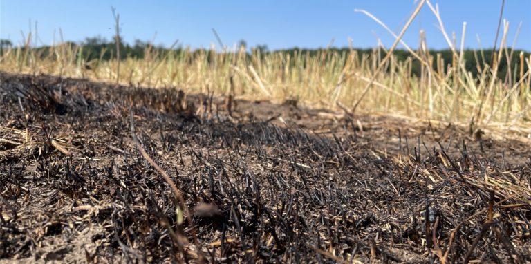 Wie schnell sich ein Feuer wegen Trockenheit ausbreiten kann, zeigte sich bereits am Montagnachmittag in Bork.
