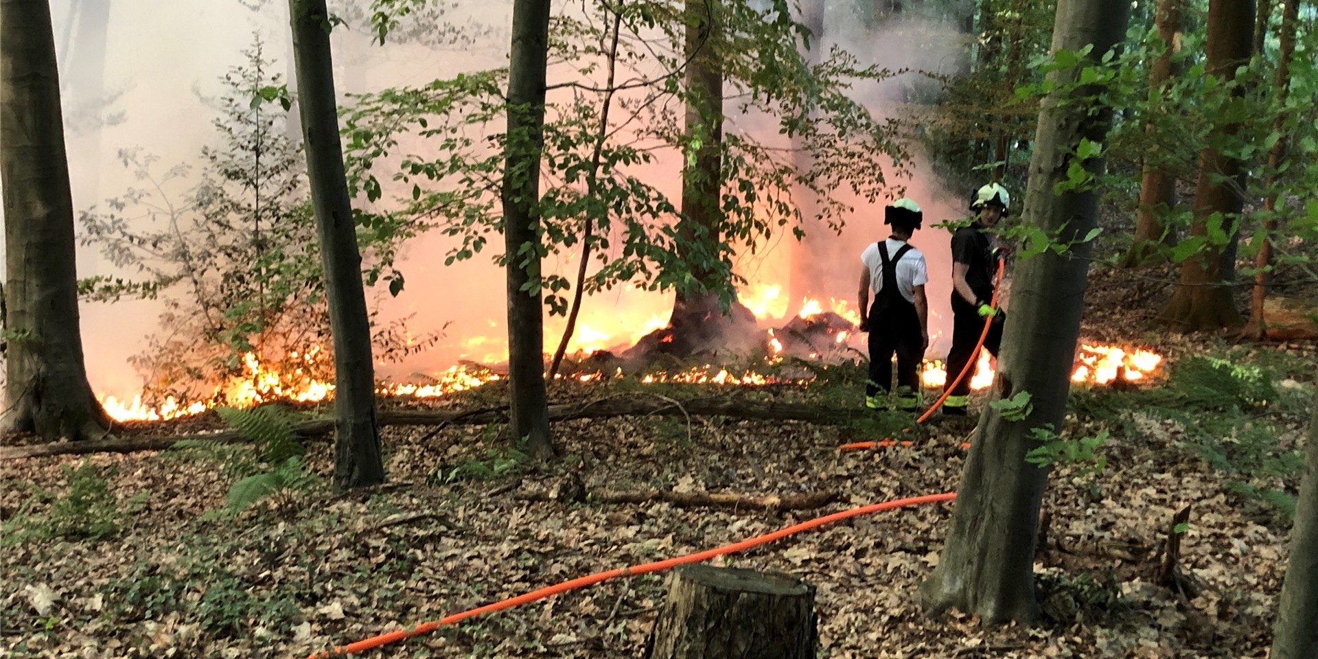 Feuerwehrleute löschen einen Waldbrand in Hennef.