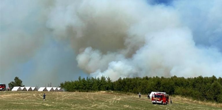 Rauchwolken steigen über einem Waldgebiet auf. In der Nähe von Sundern im Sauerland ist am Dienstag (19. Juli) ein größerer Waldbrand ausgebrochen. Die Feuerwehr aus dem Kreis Unna unterstützte bei den Löscharbeiten.