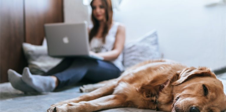 Eine Frau sitzt auf einem Bett neben einem Hund.