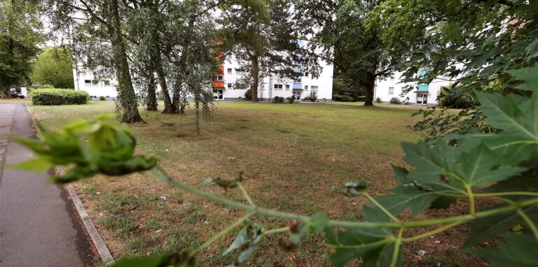 Auf diesem Grundstück sollen mehrere Häuser gebaut werden. Anwohner ließen sich über die Pläne am Dienstag im Rathaus informieren.
