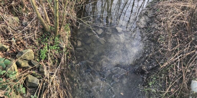 In Selm sorgt es für Aufsehen, dass ein Landwirt regelmäßig Wasser aus Fließgewässern pumpt.