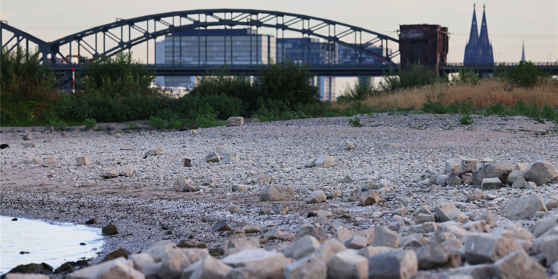 Steine liegen bei niedrigem Rheinpegel am Ufer. Aufgrund der anhaltenden Trockenheit hat der Rhein einen niedrigen Pegelstand.