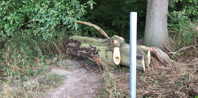 Nur noch ein halber Rohrpfosten steht am Bombentrichter-Wäldchen im Bornekamp. Der Kreis Unna will nach der Sachbeschädigung ein neues Landschaftsschutz-Schild aufhängen lassen.