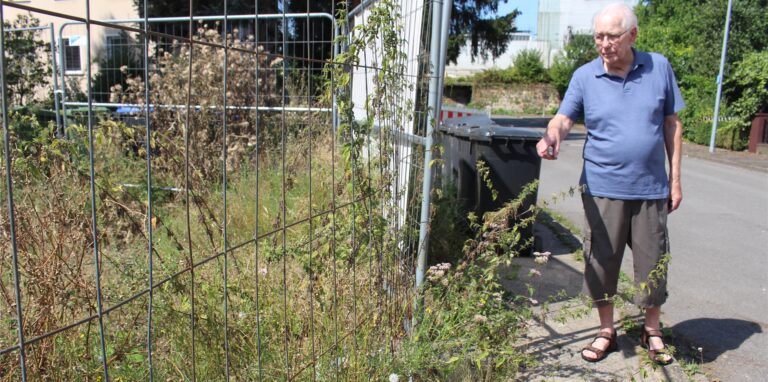 Brennnesseln, Disteln und Brombeeren wuchern den Gehweg am Senningsweg zu.