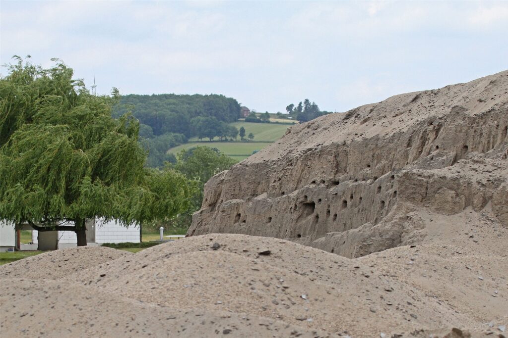 Uferschwalbe Hammer Wasserwerk in Fröndenberg-Warmen Ornithologe Gregor Zosel Uferschwalbe Hammer Wasserwerk in Fröndenberg-Warmen Ornithologe Gregor Zosel